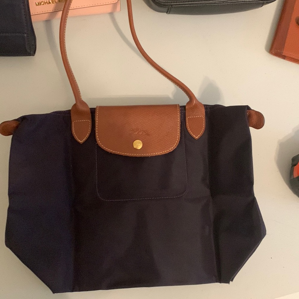 Medium Eggplant Longchamp